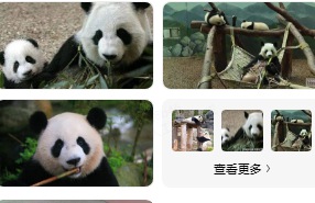 过度关注旅美熊猫洋洋是吃多了撑的